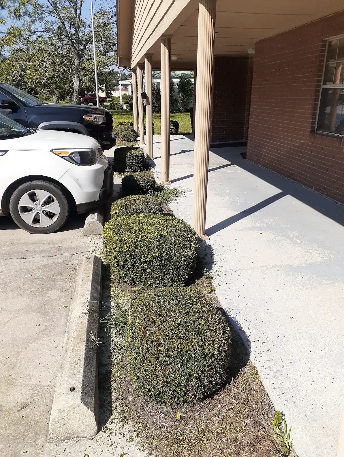 Green Grass Lawn Care project