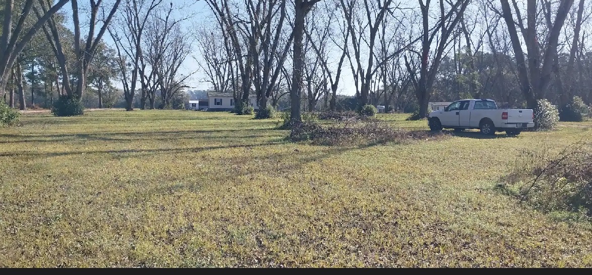 Green Grass Lawn Care project