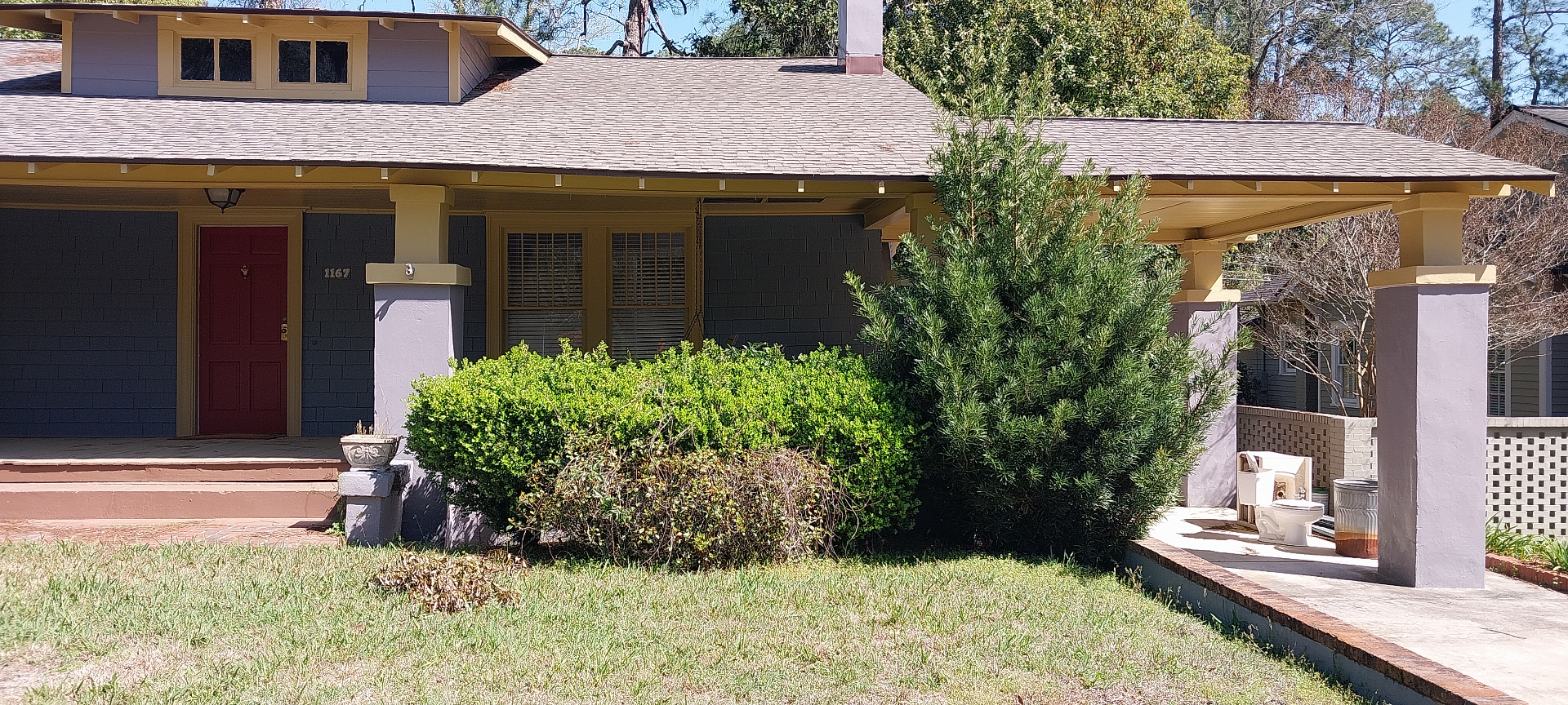 Green Grass Lawn Care project