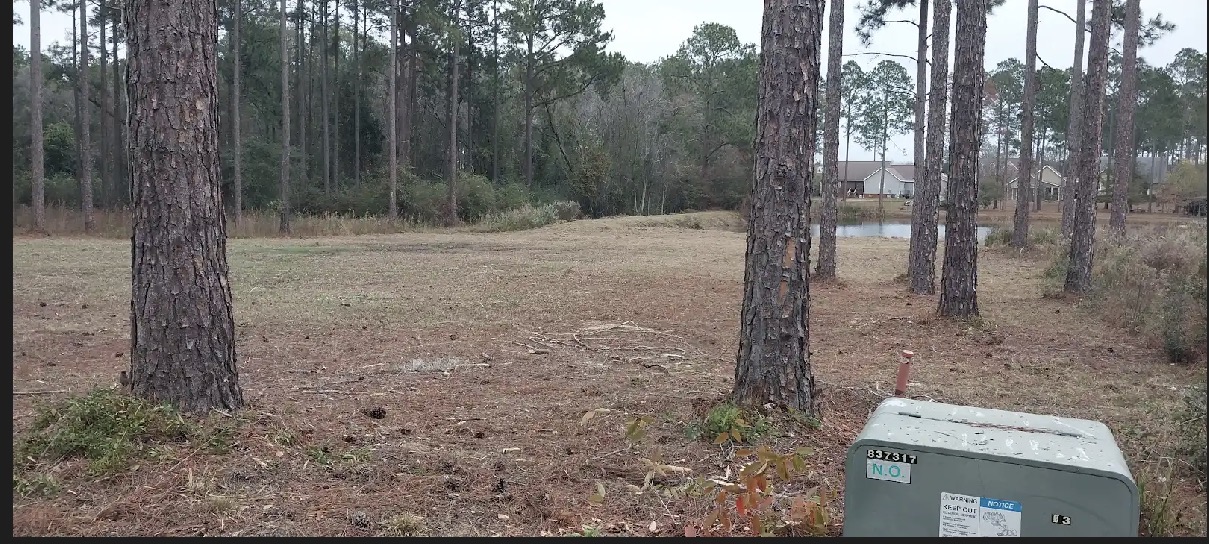 Green Grass Lawn Care project