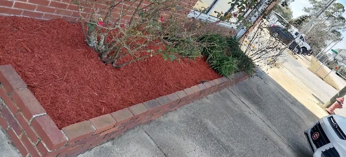 Green Grass Lawn Care project